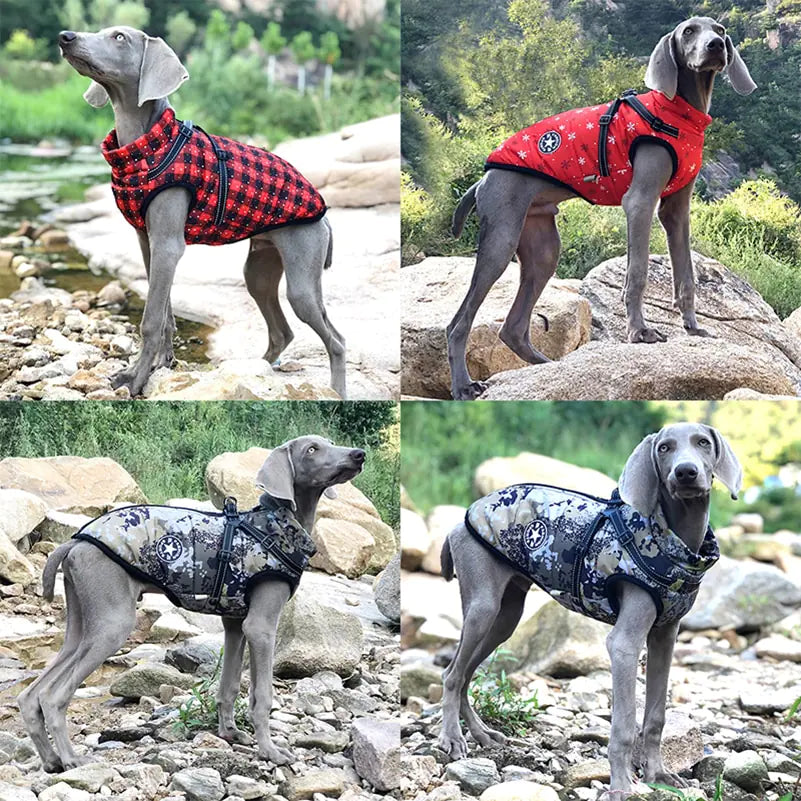 Cozy Canine Winterwear