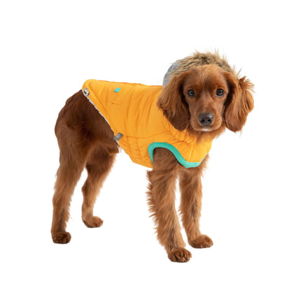 Arctic Voyager Dog Parka - Yellow