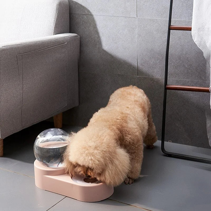 EasyFeed Pet Station