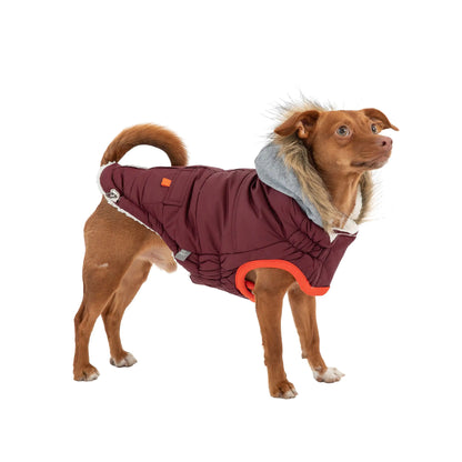 Crimson Harbor Winter Pet Parka