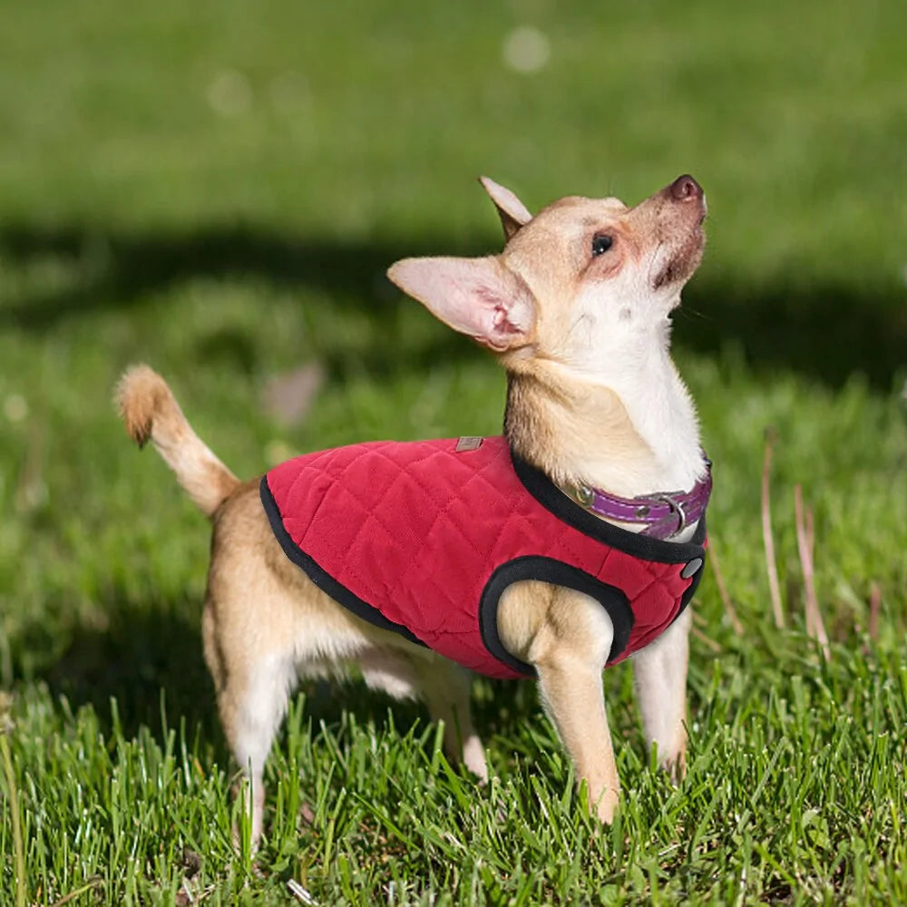 Cozy Canine Winter Coat