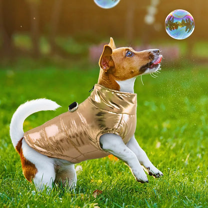 Chic Waterproof Dog Outerwear